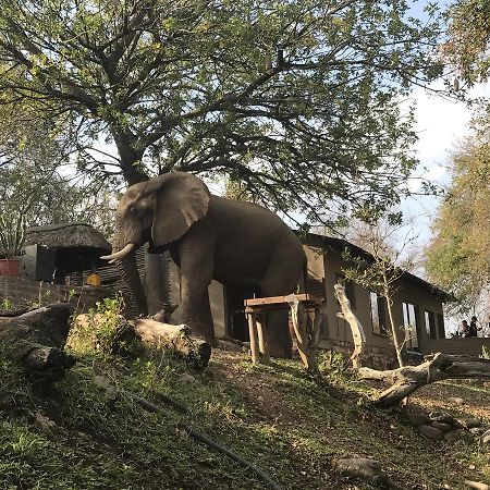 Ximongwe River Camp - Crocodile Cottage Balule Természetvédelmi Rezervátum Kültér fotó